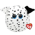 Fetch DALMATIAN DOG
