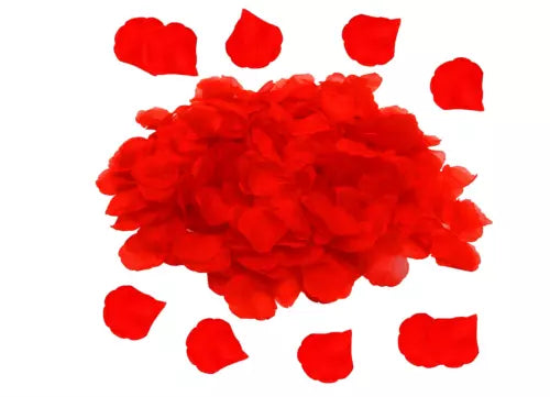 Red Rose Petals Romantic Night DIY confetti