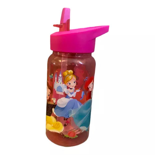 Disney store multi Princess water bottle flask