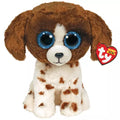 Muddles BROWN AND WHITE DOG