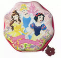 Disney Multi Princess zip up stationery kit