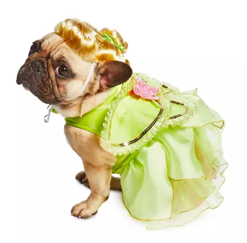 Disney Store Tinker Bell Costume For Dogs / Puppy. body suit and wig