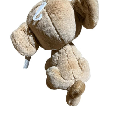 Disney Store Nala Cub Plush soft toy 22cm Disney Parks tag rare super soft