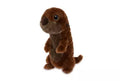 Disney Store Original Finding Dory Sea Otter